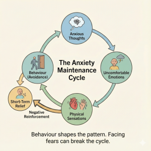 A friendly diagram showing the anxiety maintenance cycle with anxious thoughts, uncomfortable emotions, physical sensations, avoidance behaviour, and short term relief.