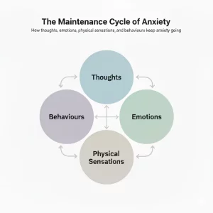 Diagram showing the anxiety maintenance cycle in CBT, illustrating how thoughts, emotions, physical sensations, and behaviours interact to maintain anxiety.
